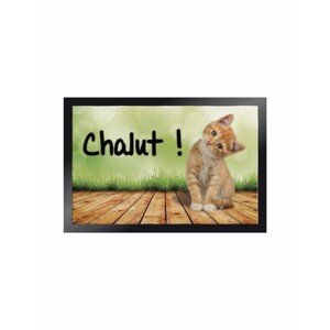 Interiérová rohožka s potlačou mačiatka