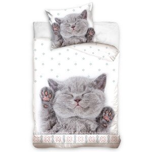 Obliečky bavlna Mačiatko v perinách