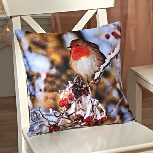 Obliečka na vankúš Vtáčik