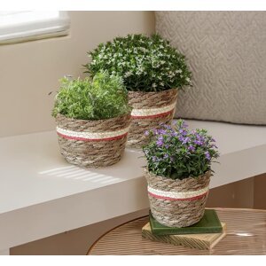 Obal na kvetináč z morskej trávy, súprava 3 ks