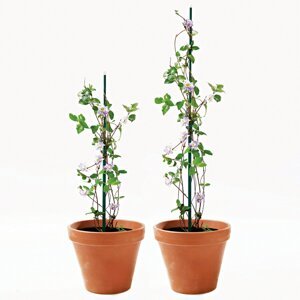 6-dielna súprava podpier pre rastliny