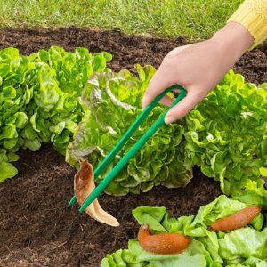 Kliešte na slimáky