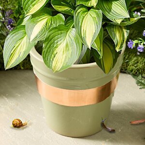 Medená páska proti slimákom