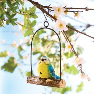 Detektor pohybu "Sýkorka"