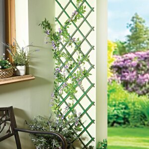 Teleskopická mreža k rastlinám