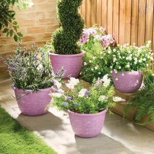 4 kvetináče Levanduľa
