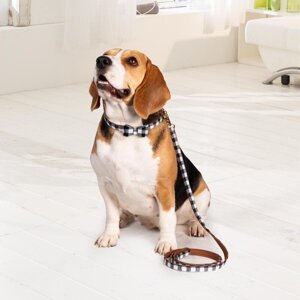 sada obojkov a vodítka pre psíkov Karo