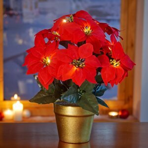 LED vianočná hviezda v kvetináči