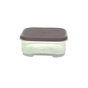 Dóza na potraviny NANO 530 ml