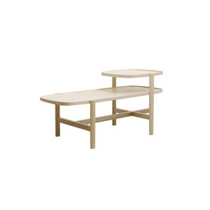 Obdĺžnikový konferenčný stolík ASHI - Hobby Flower