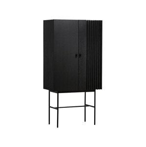 Komoda "Array", 80 x 160 cm, 2 varianty - Woud Varianta: dub, čierny