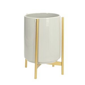 Dekoria Záhon Agave Grey 22cm, 16 x 22 cm