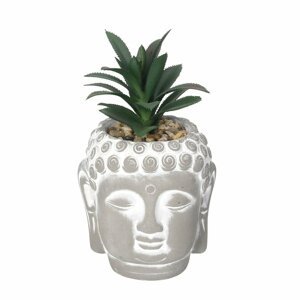 Dekoria Dekorácie Succulent II Buddha 17cm, 10 x10 x 17 cm