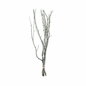 Dekoria Lísková vetva 50cm dark green, 10 x 10 x 50 cm