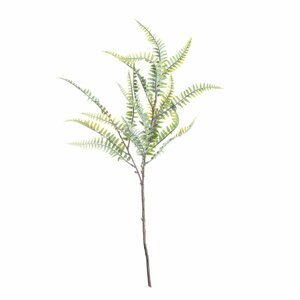 Dekoria Papraď na vetvičke 60cm, 10 x 10 x 60 cm